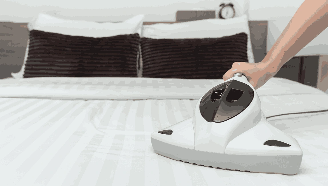 Professional Mattress Cleaning Ardeer